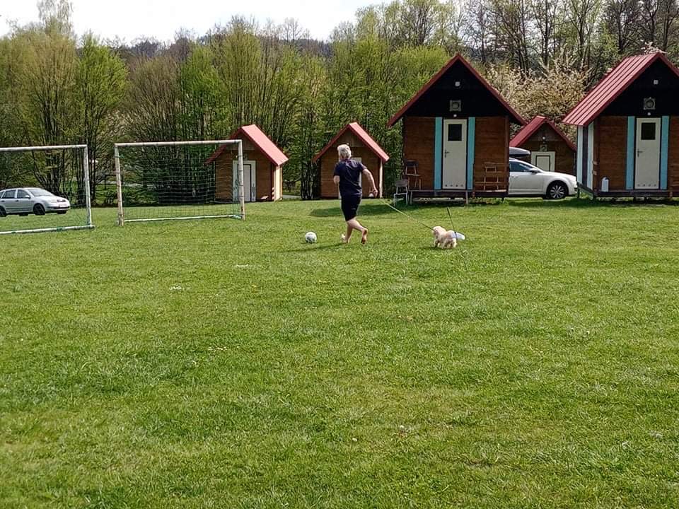 IMG_0371